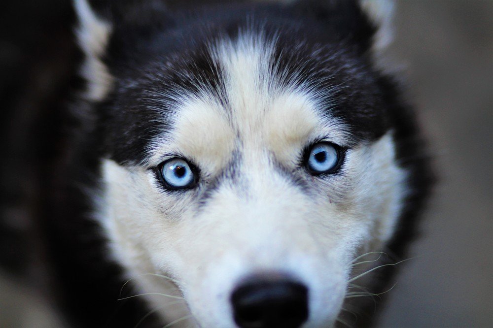 Фотография автора Юлианна Гуртовенко