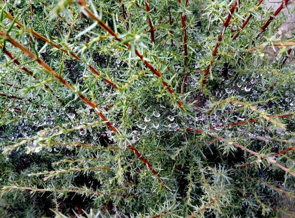 Photograph by Павел Агеев