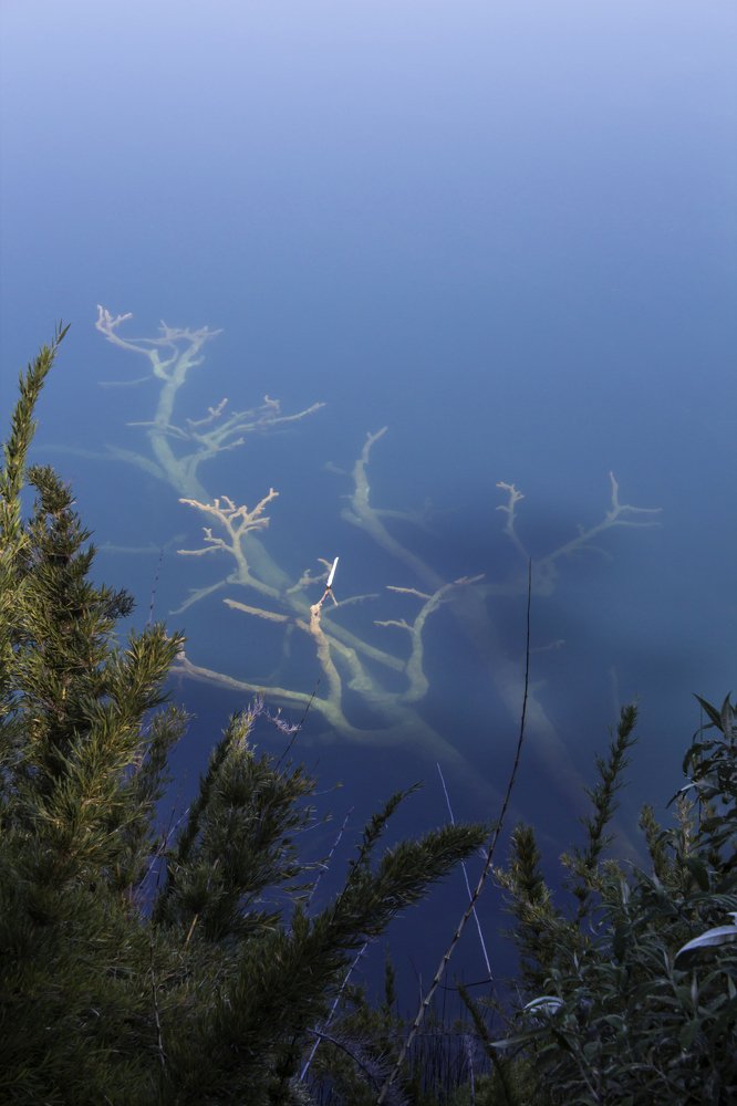 Photograph by Monica Macri