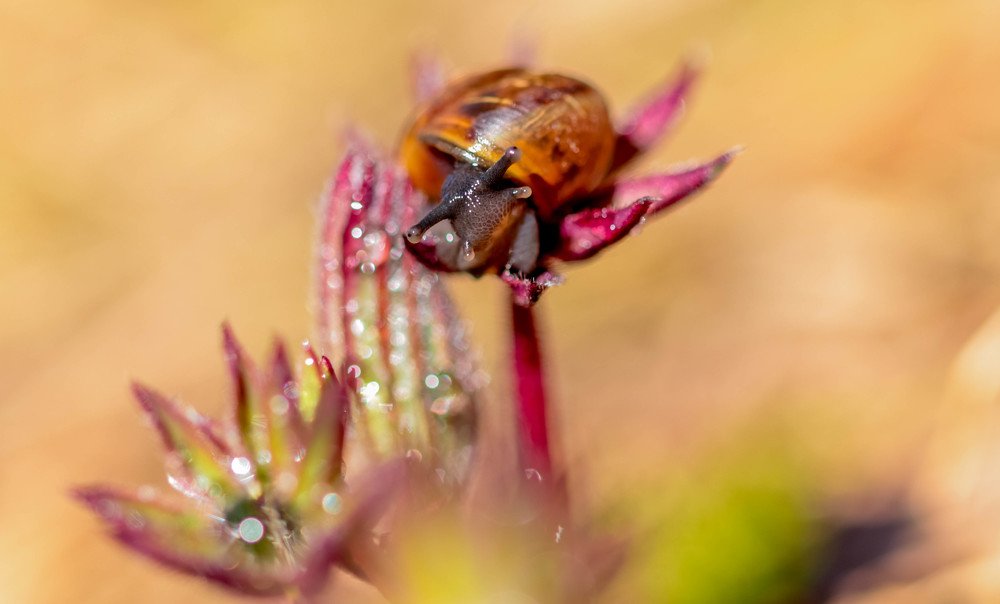 Photograph by Екатерина