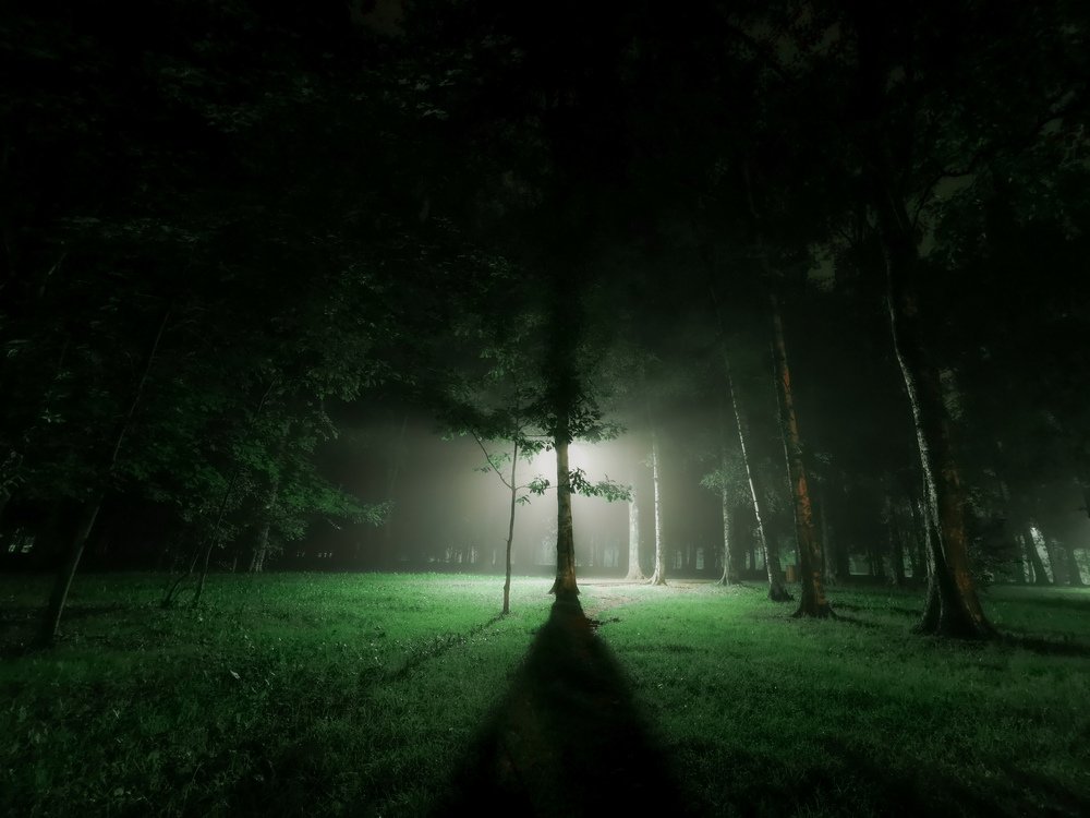 Photograph by Алексей Алексеев