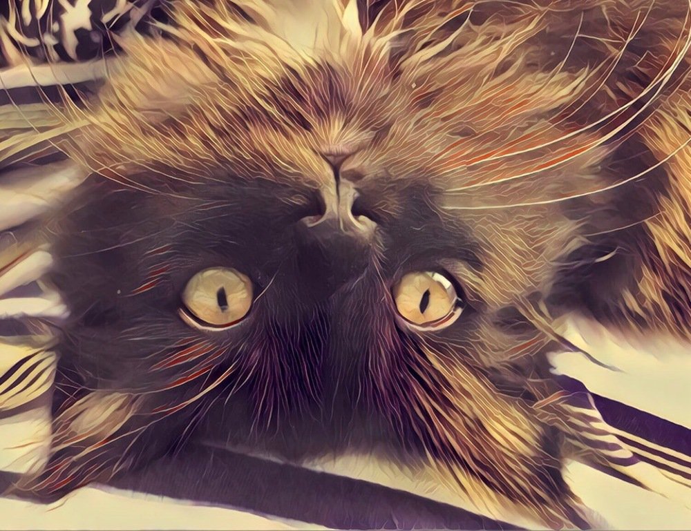 Photograph by Иван Серебряков