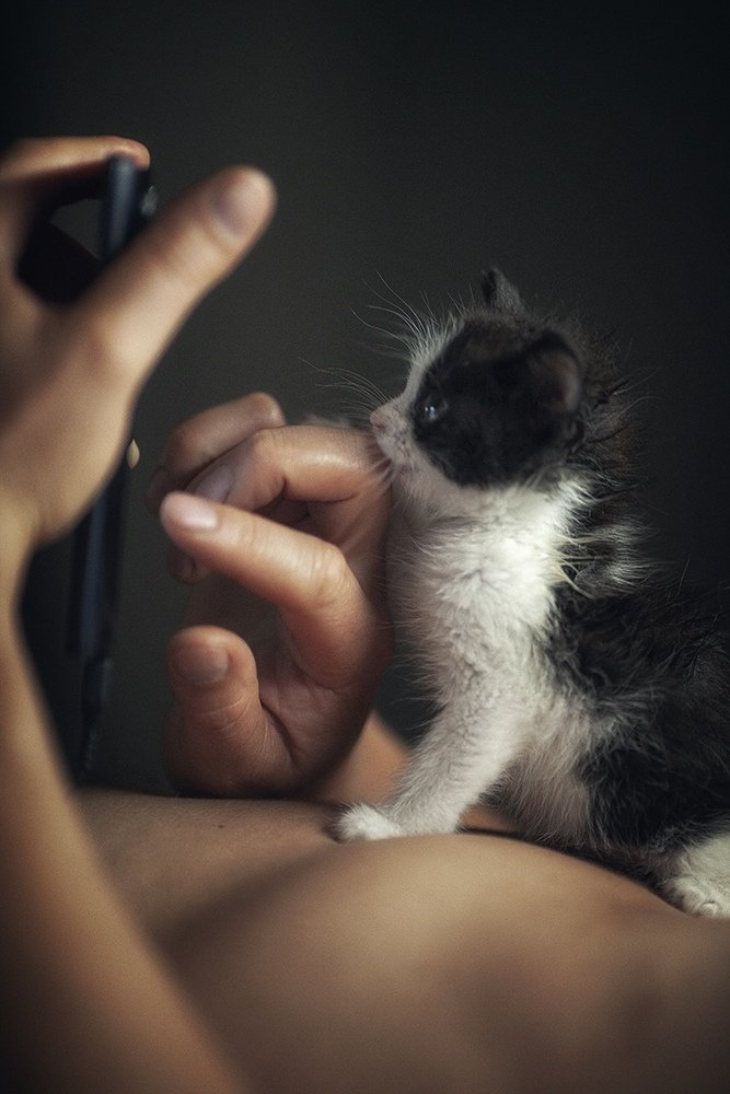 Photograph by Tatyana Novikova