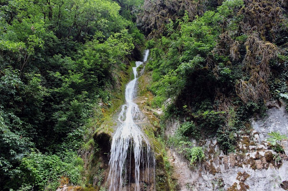 Photograph by Татьяна Пальчикова