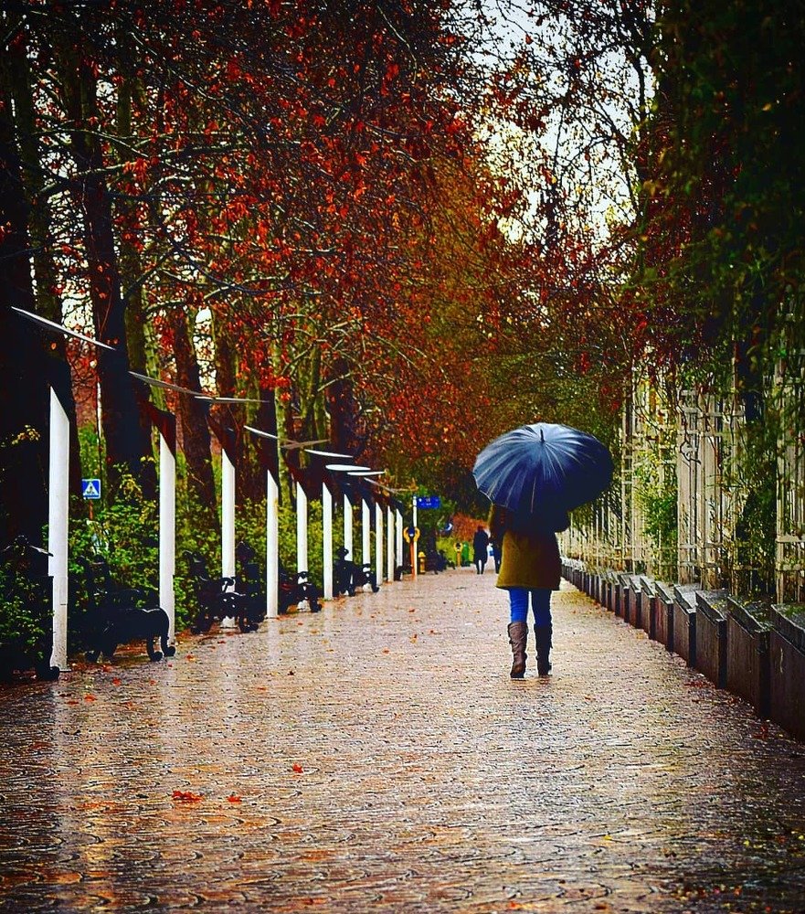 Photograph by Mohammad Damshekan