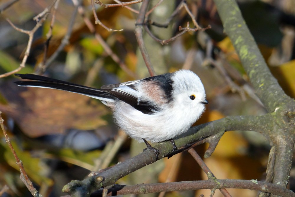 Photograph by Татьяна Калугина