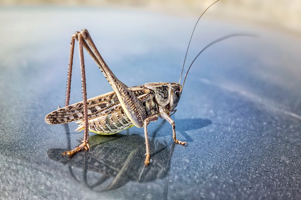 Photograph by Игорь Сарапулов