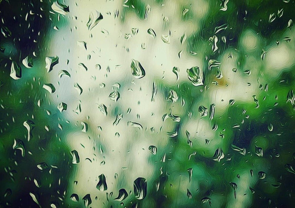 Photograph by Mohammad Damshekan