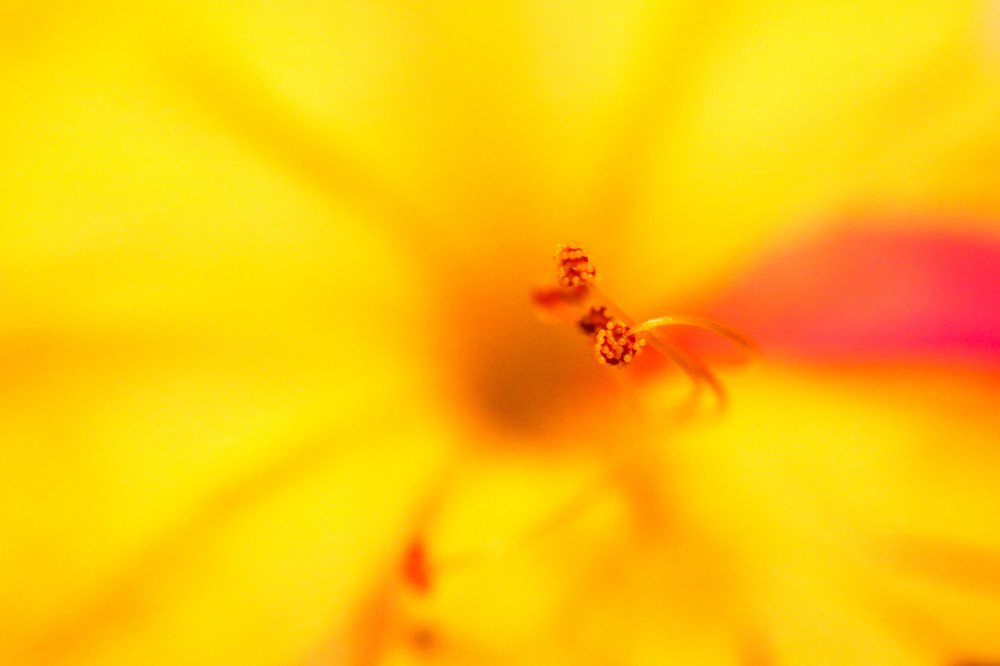 Photograph by MORSHED ALAM