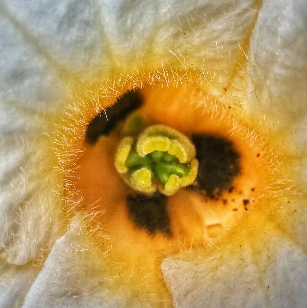 Photograph by MORSHED ALAM