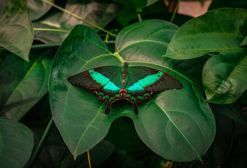 Фотография автора Straand2614