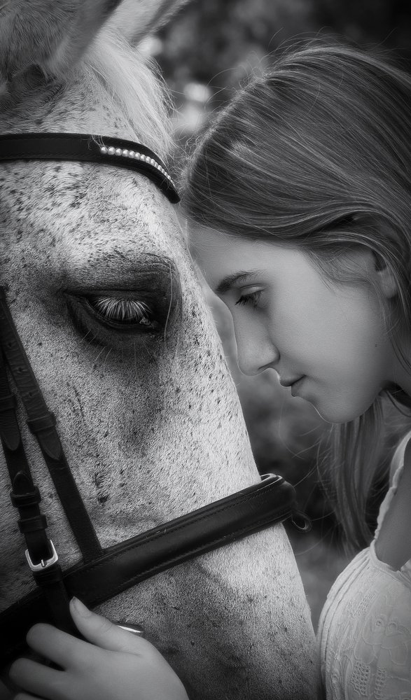 Саша и Ласточка