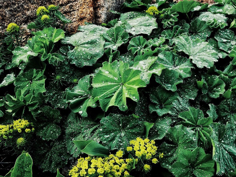 Photograph by Ирина Секачева