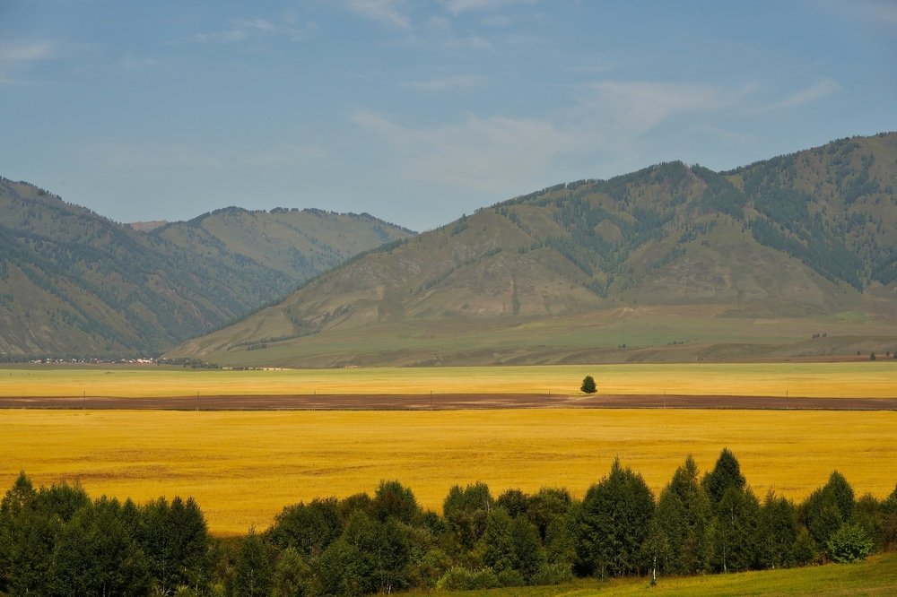 Август в Уймонский долине