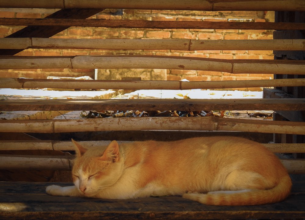 Фотография автора Gabriela Bonilla