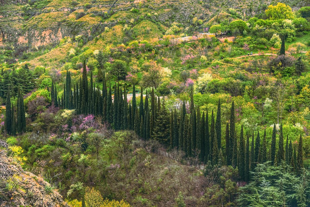 Фотография автора Gabriela Bonilla