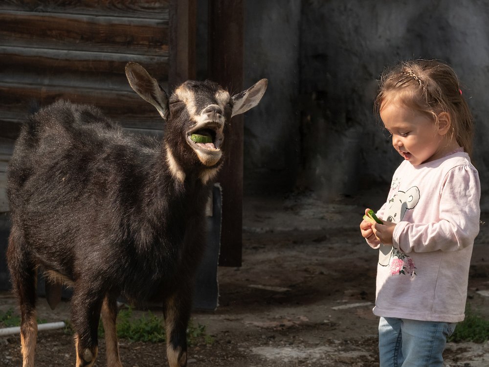 Photograph by Татьяна Ефименко