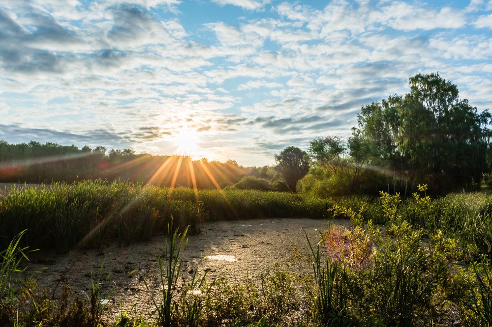 Photograph by Nikita Silyavin