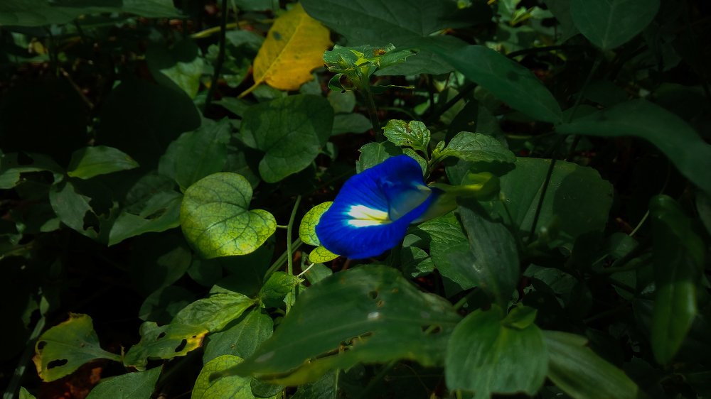 Photograph by Bhautik Lakhani