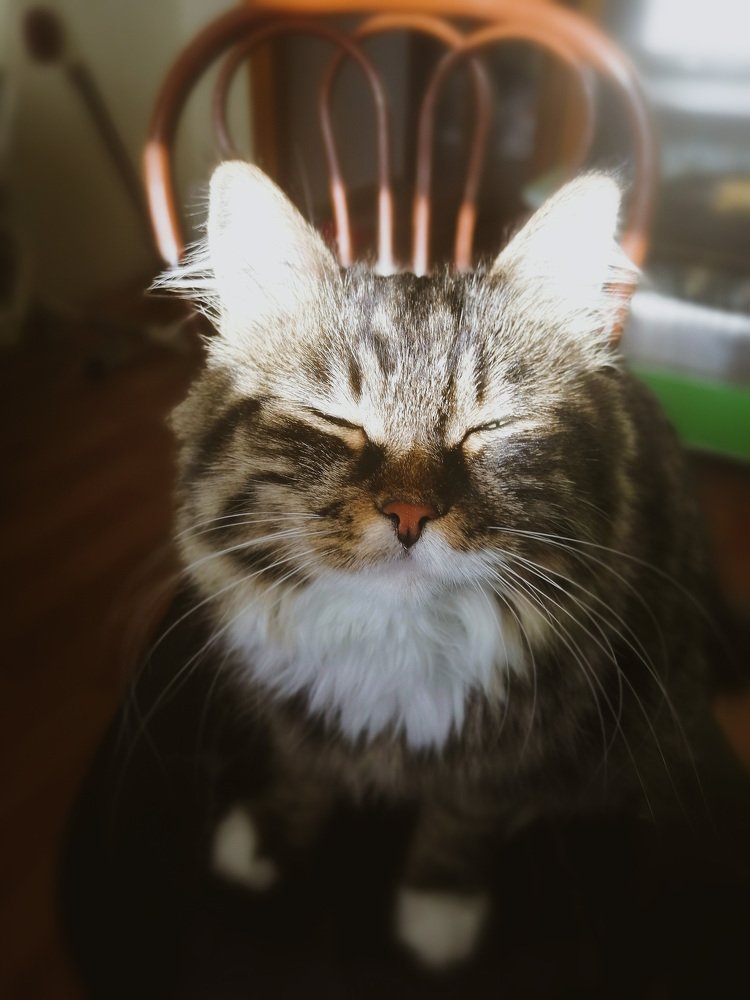 Photograph by Залия Гумерова