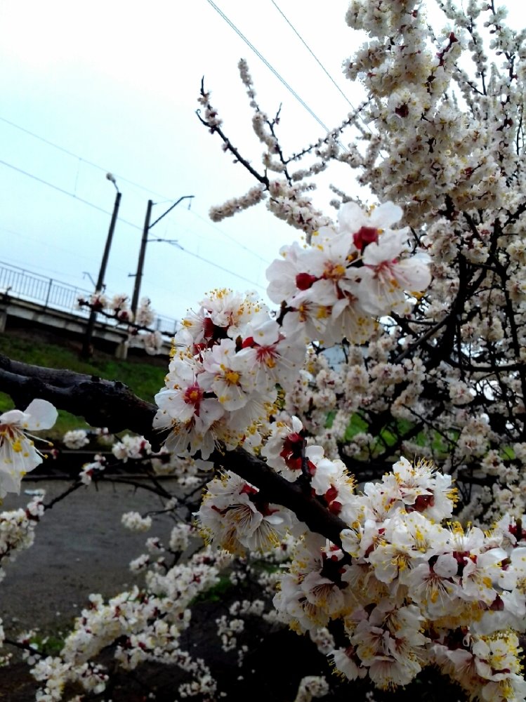 Photograph by Марина