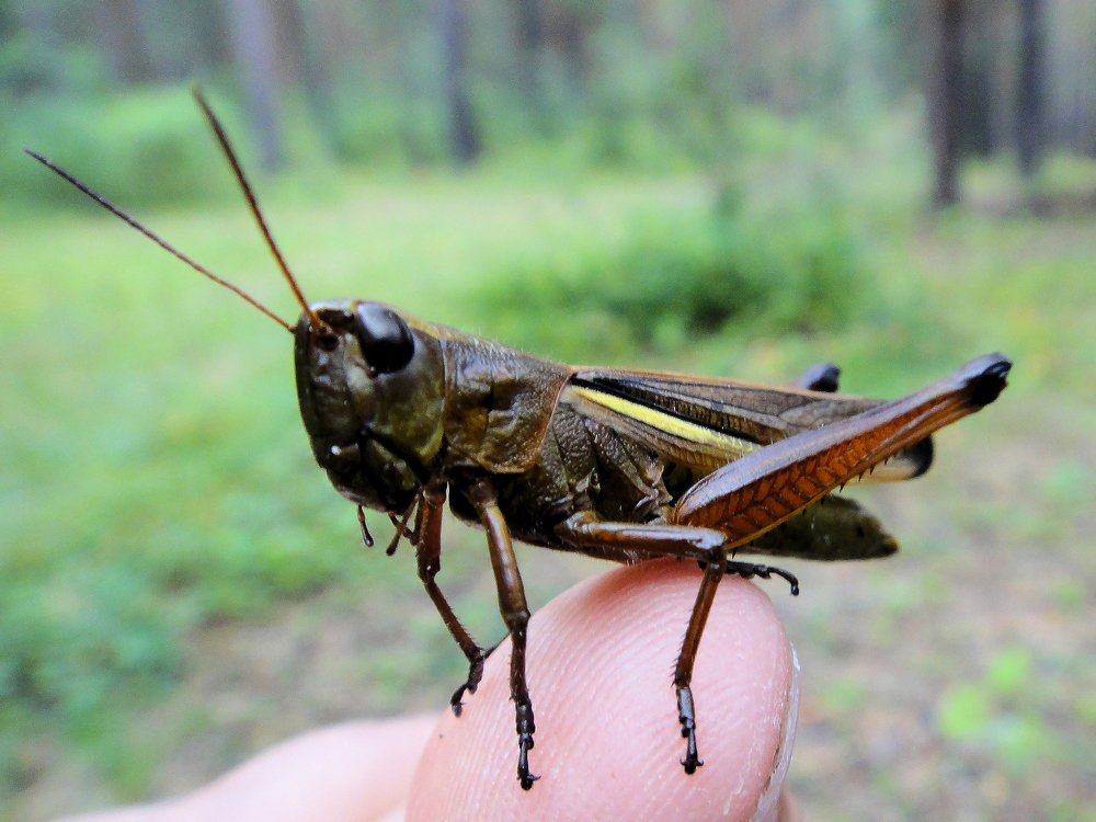 Photograph by Юрий Худяков