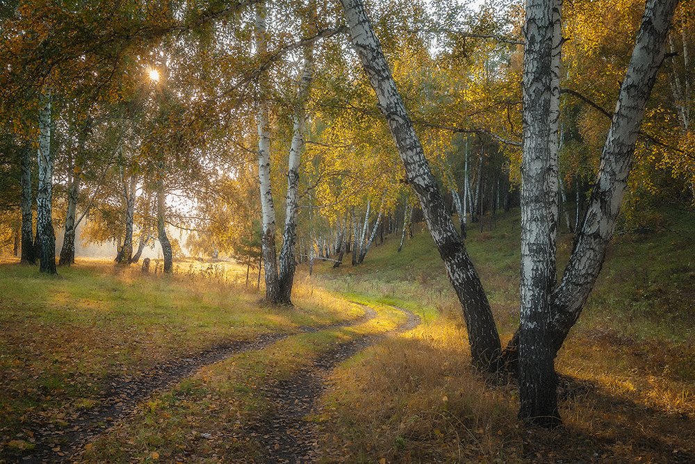 Фотография автора Виктор