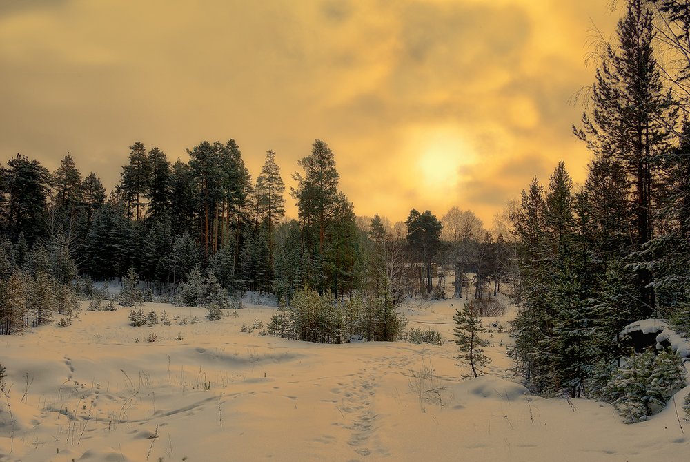 Фотография автора Виктор