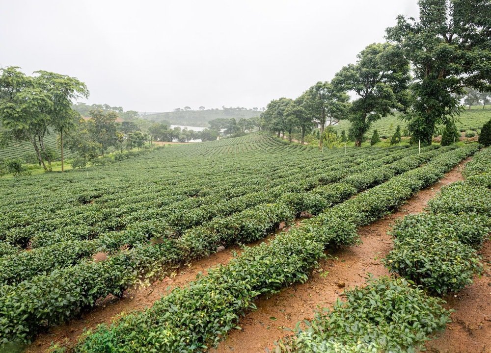 Photograph by Александр Кононов