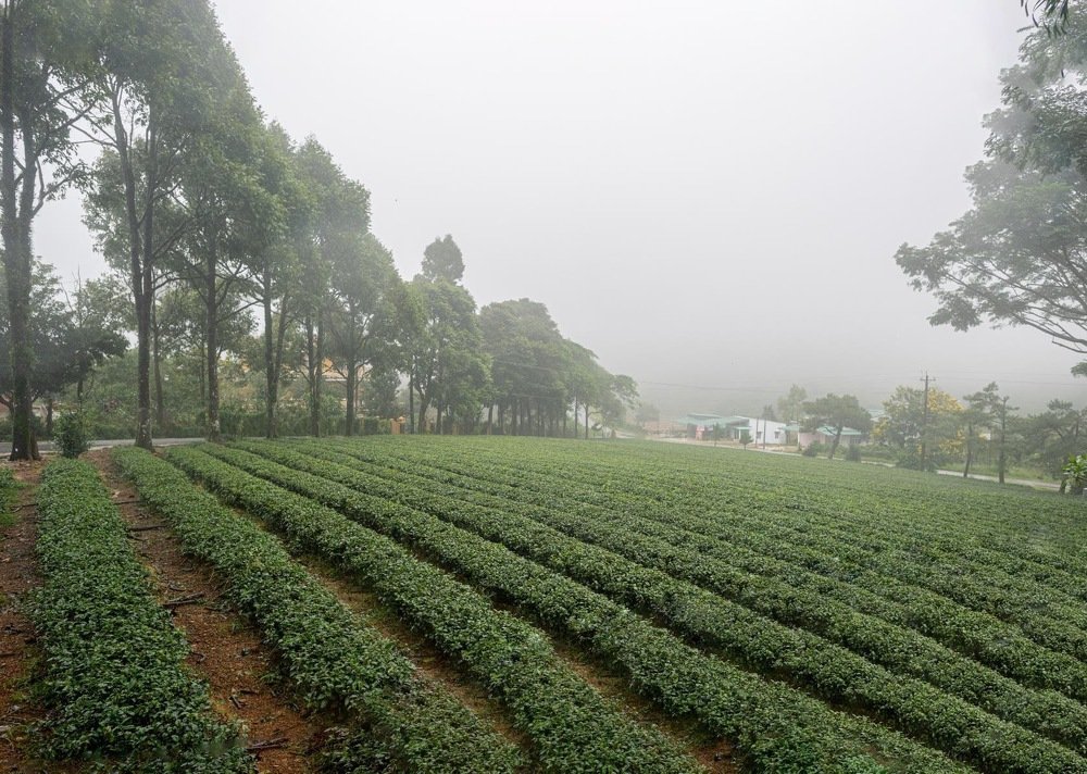 Photograph by Александр Кононов