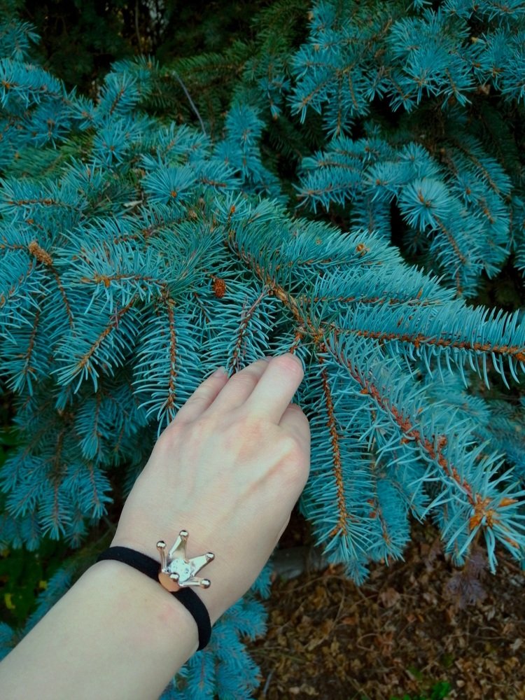 Photograph by Марина