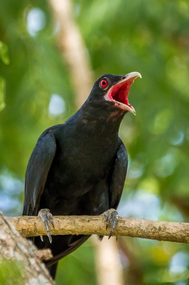 Photograph by Mohamed Ruksan