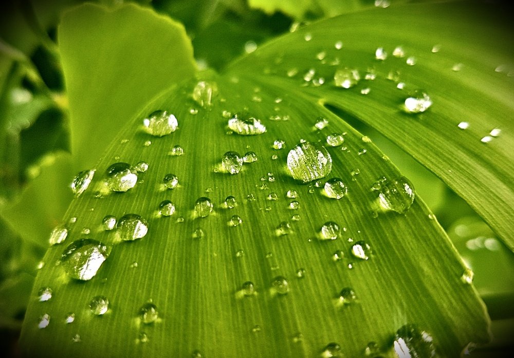 Photograph by Mojca Rebol