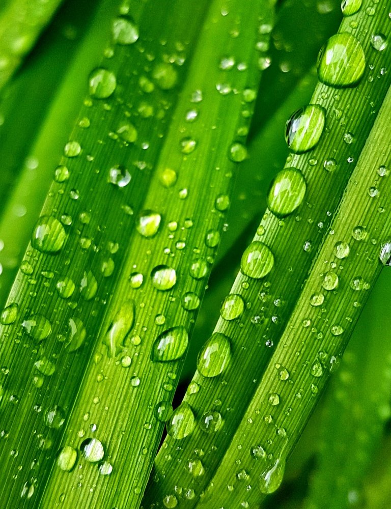 Photograph by Mojca Rebol