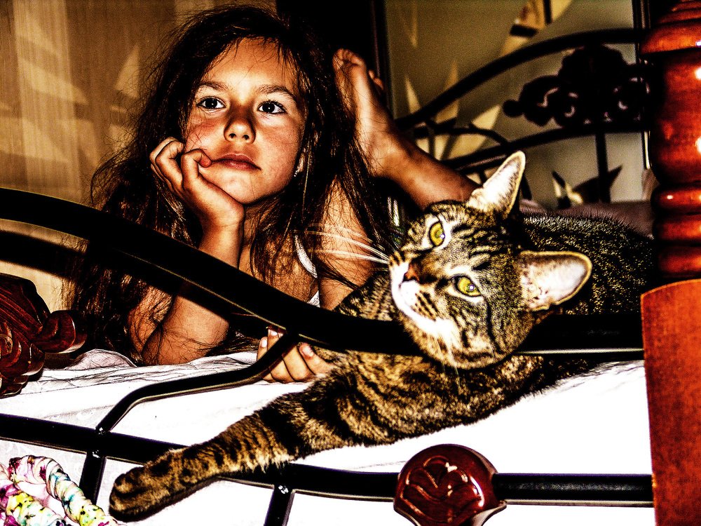 Photograph by Андрей Торшин