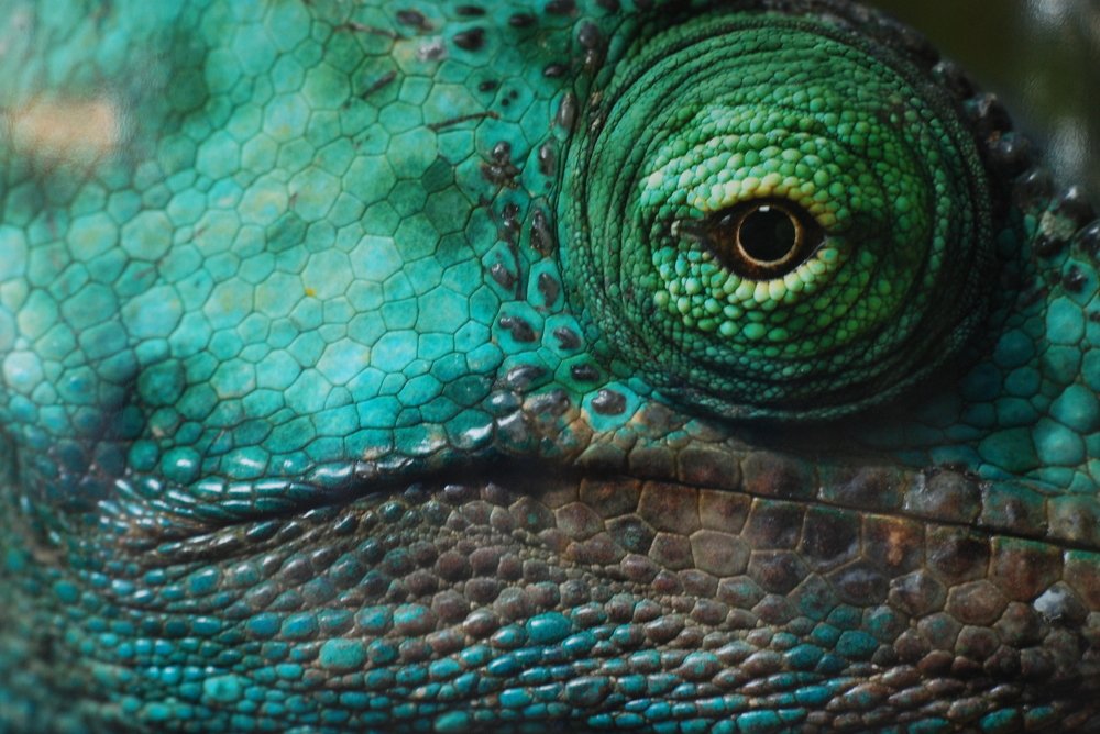 Photograph by Сергей Лобозов