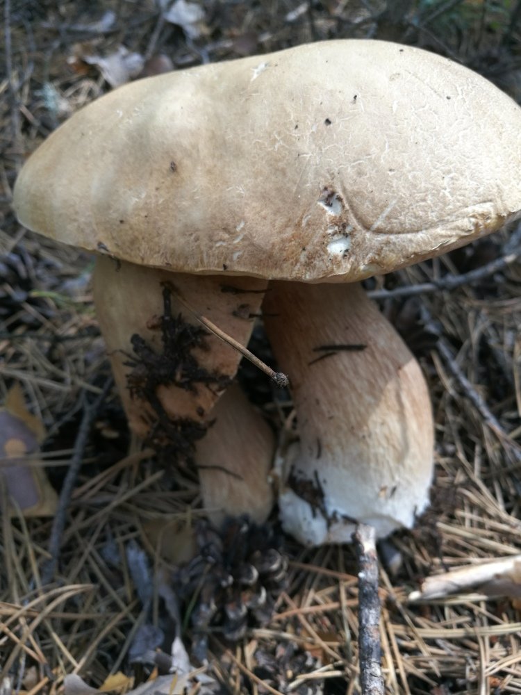 Photograph by Галина