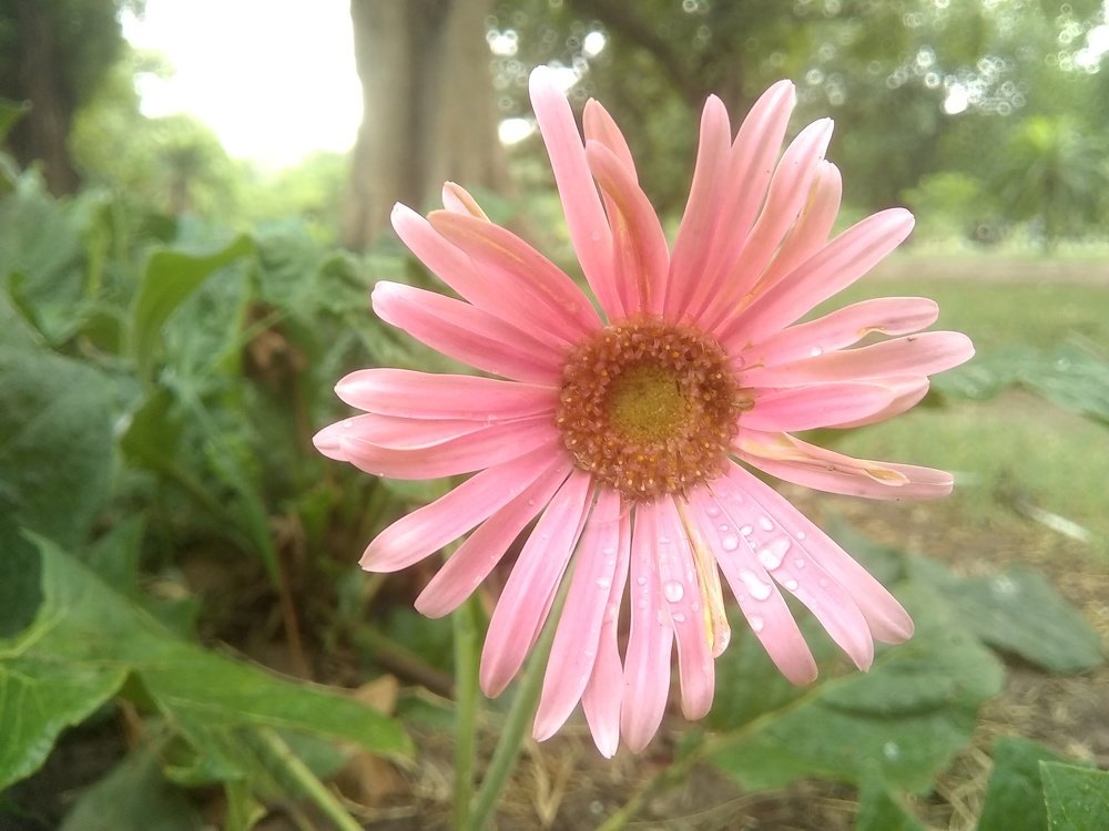 Photograph by Malik Musab