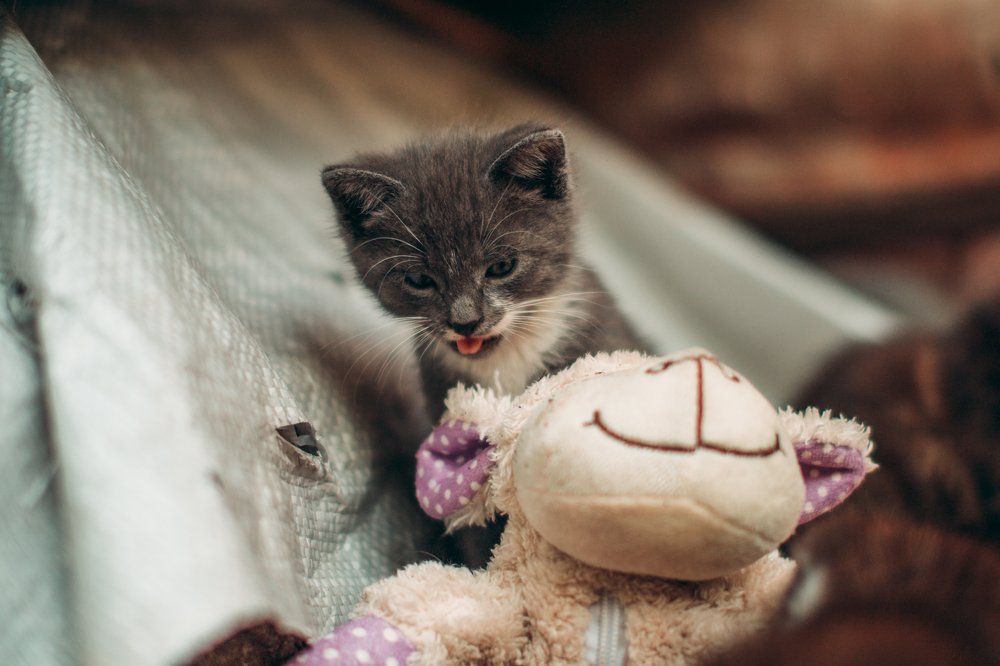 Photograph by Илья Кузнецов