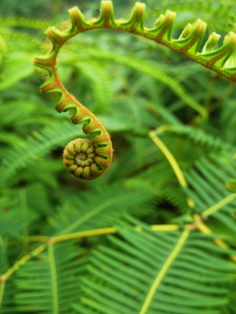 Photograph by Леонид