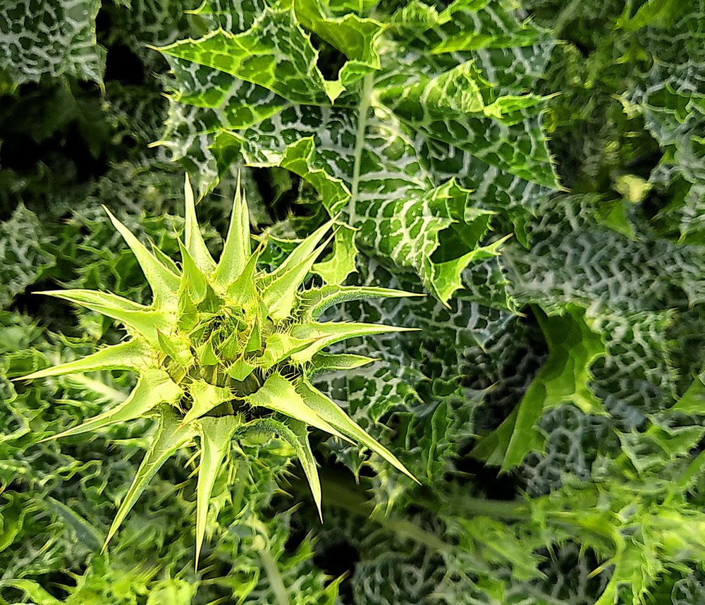 Photograph by Леонид