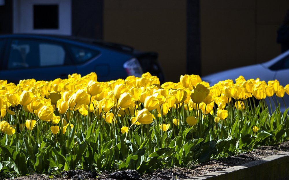 Photograph by Андрей Савицкий