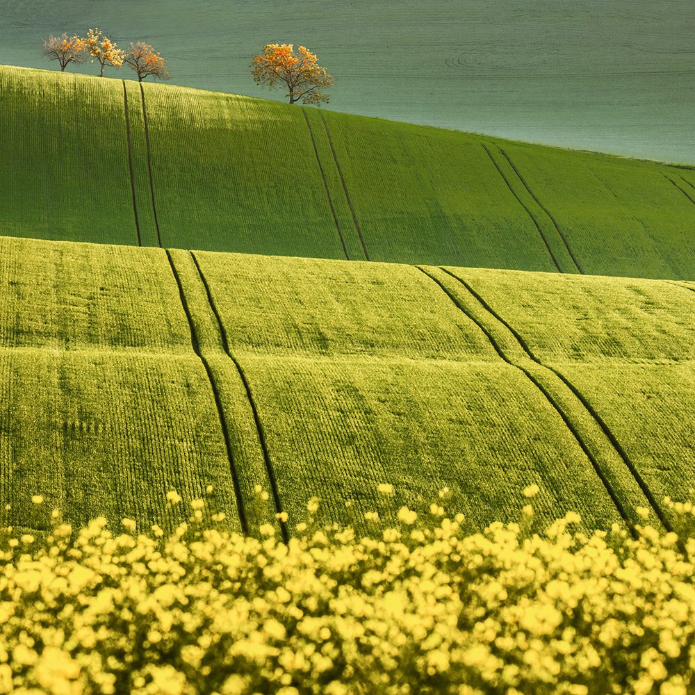 Photograph by Dóra Csörögi