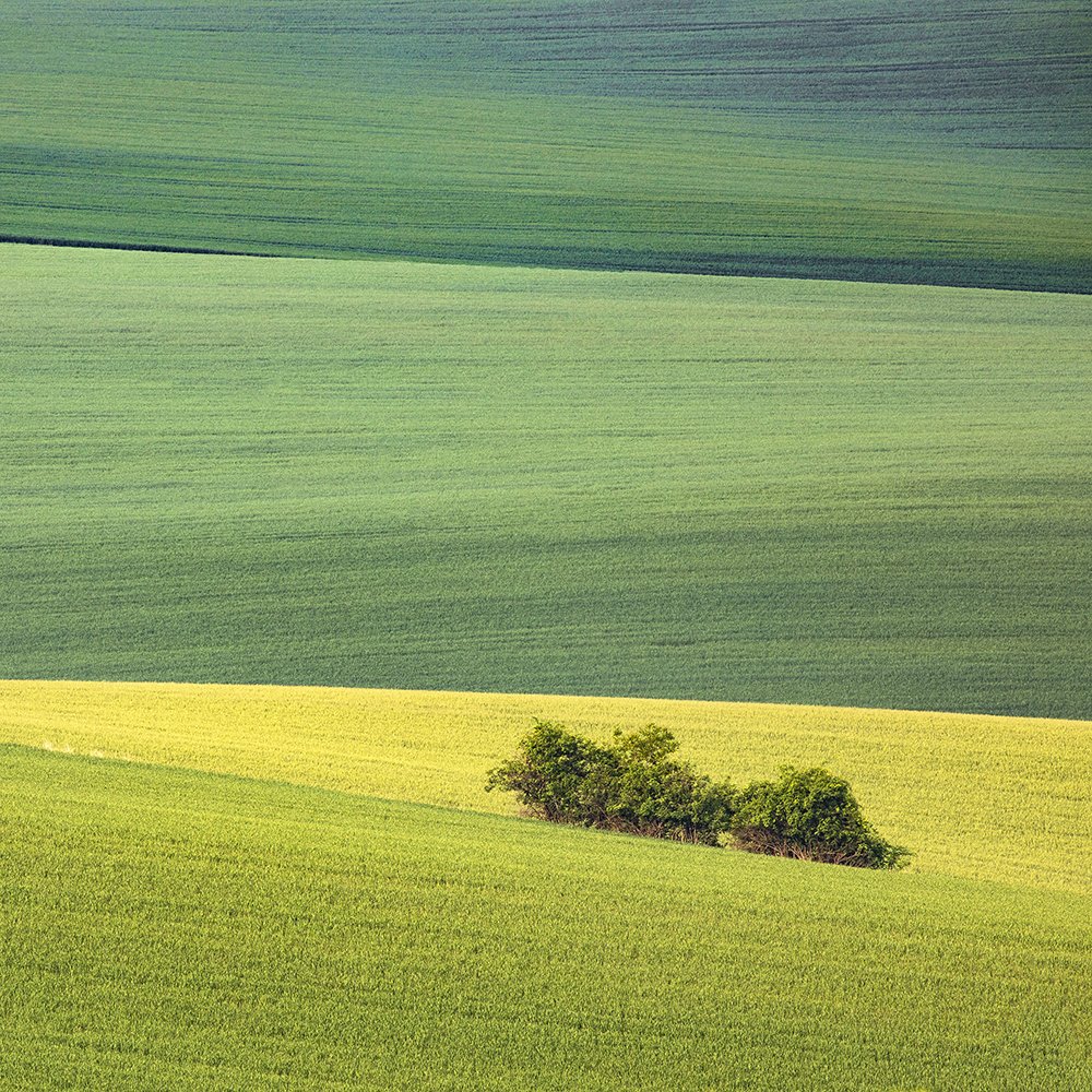 Photograph by Dóra Csörögi