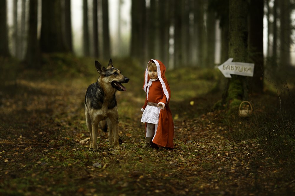 Photograph by Renate Tompsone