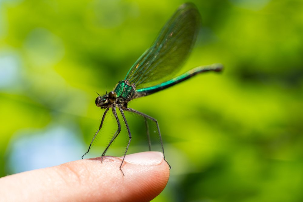 Photograph by Pucs Fongabe