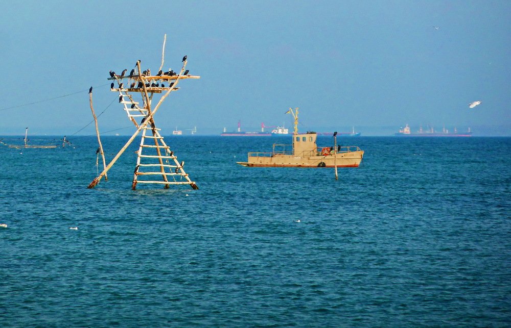 Photograph by Леонид