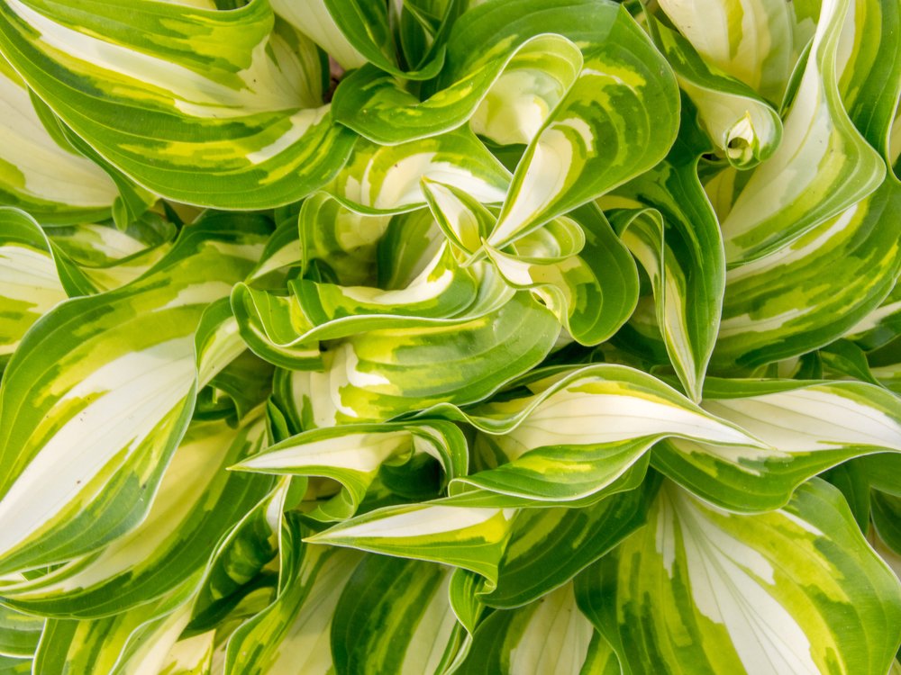 Photograph by Pucs Fongabe