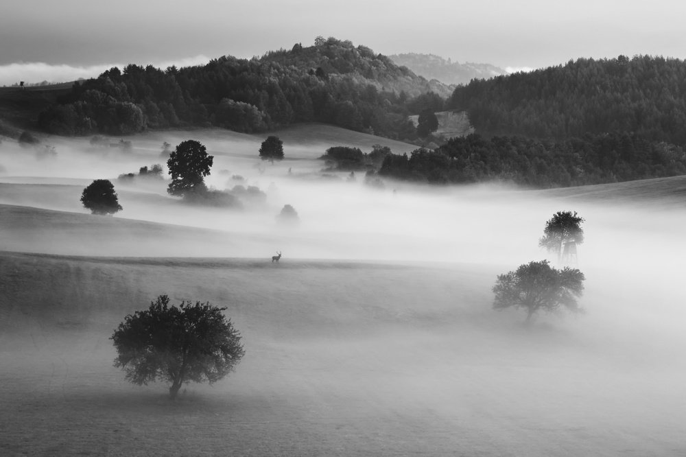 Photograph by Martin Šúrik