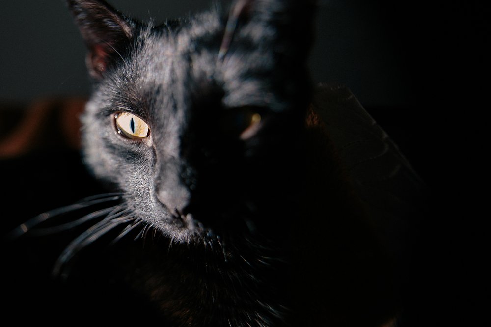 Photograph by Светлана Савочкина